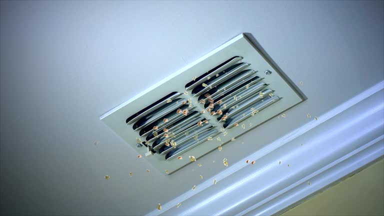 Best Emergency Air Duct Cleaning  in Canon, GA