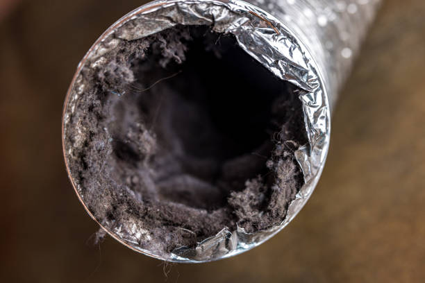 Best Local Air Duct Cleaning Services  in Canon, GA