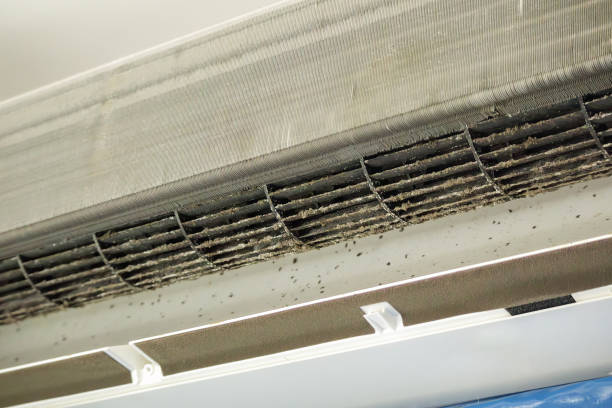 Best Duct Cleaning for Homes  in Canon, GA